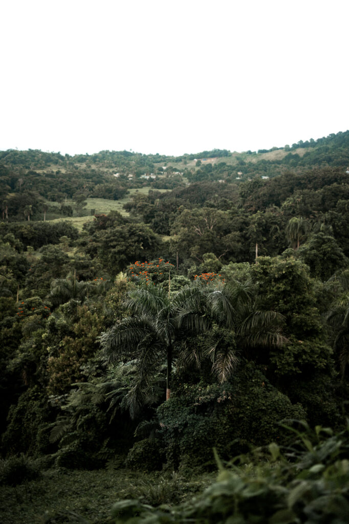 Best Places to Elope in Puerto Rico; Best Places to Elope in El Yunque