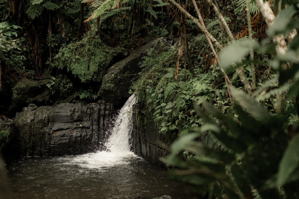 Best Places to Elope in Puerto Rico; Best Places to Elope in El Yunque