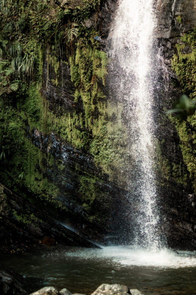 Best Places to Elope in Puerto Rico; Best Places to Elope in El Yunque