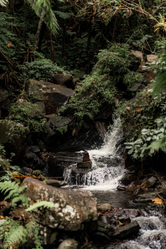 Best Places to Elope in Puerto Rico; Best Places to Elope in El Yunque