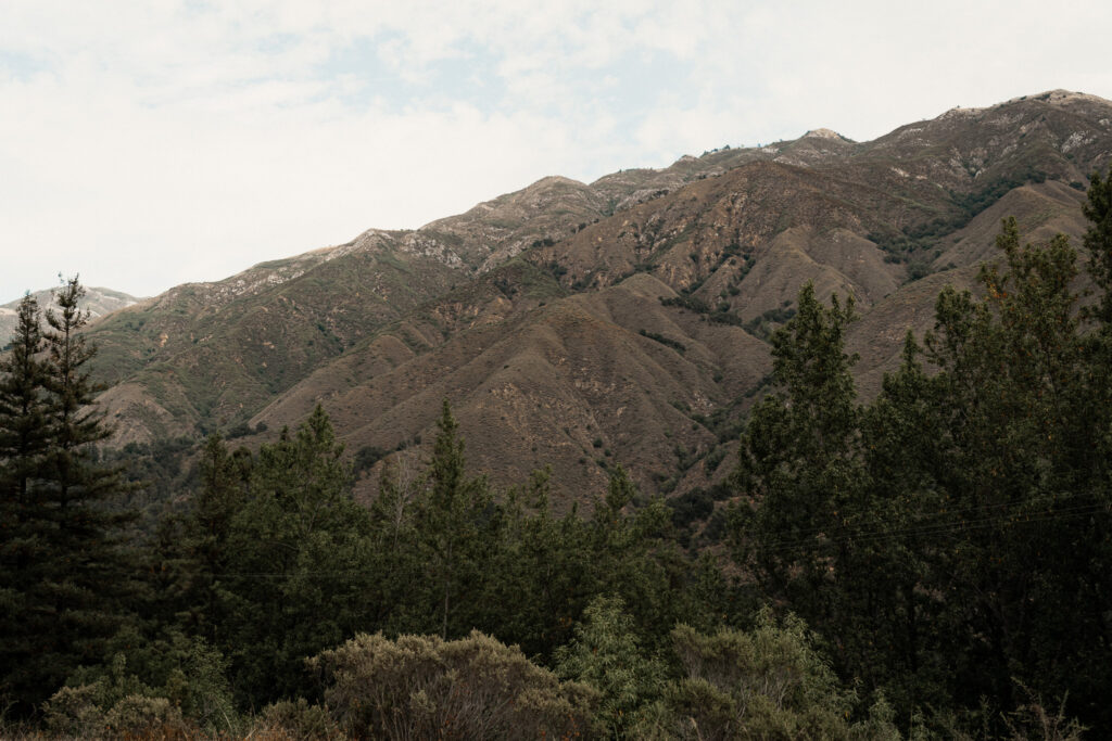 Planning a Big Sur Elopement