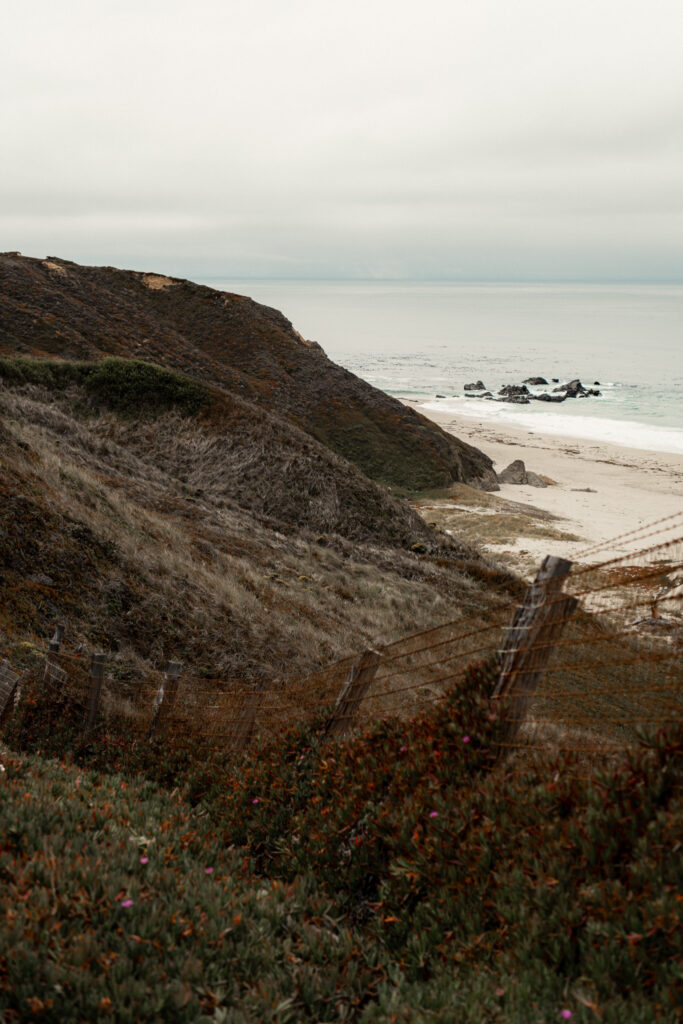 Planning a Big Sur Elopement